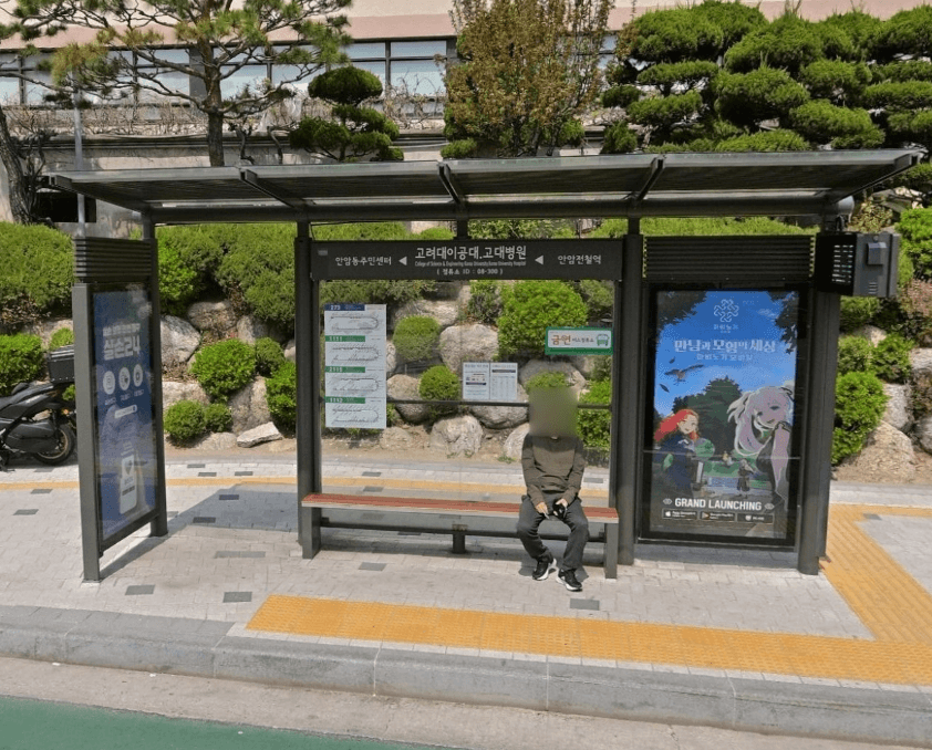 고려대이공대.고대병원