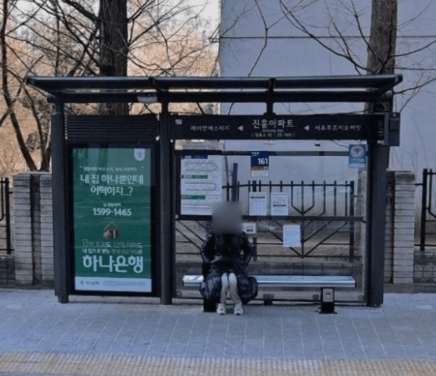 진흥아파트
