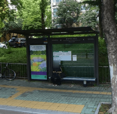 양천구민체육센터.양천일자리센터