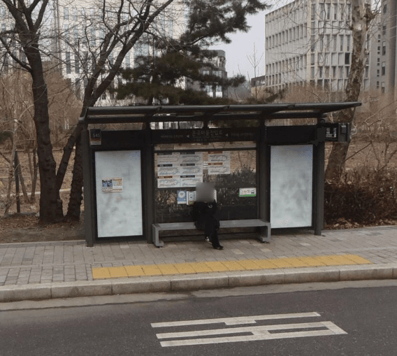 은곡마을진입로